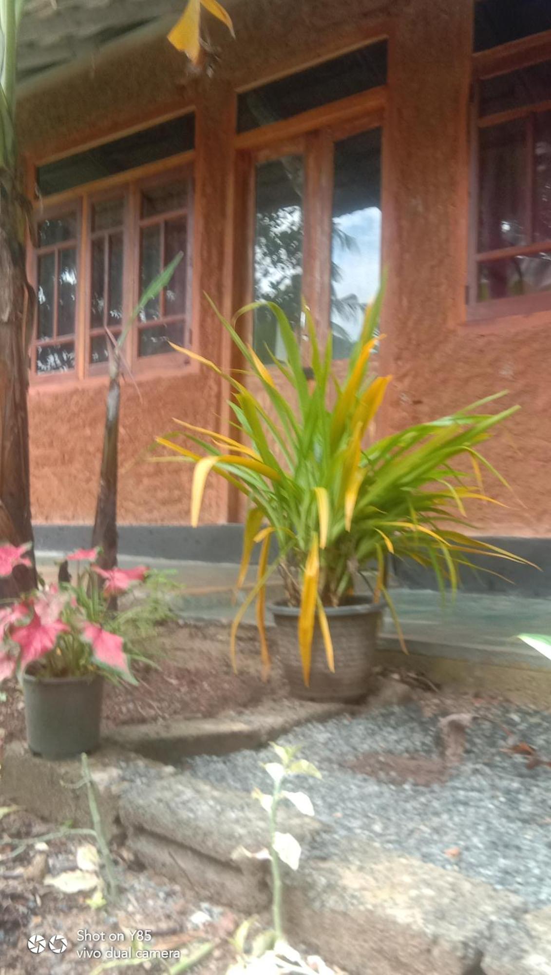My House Ahangama Room photo