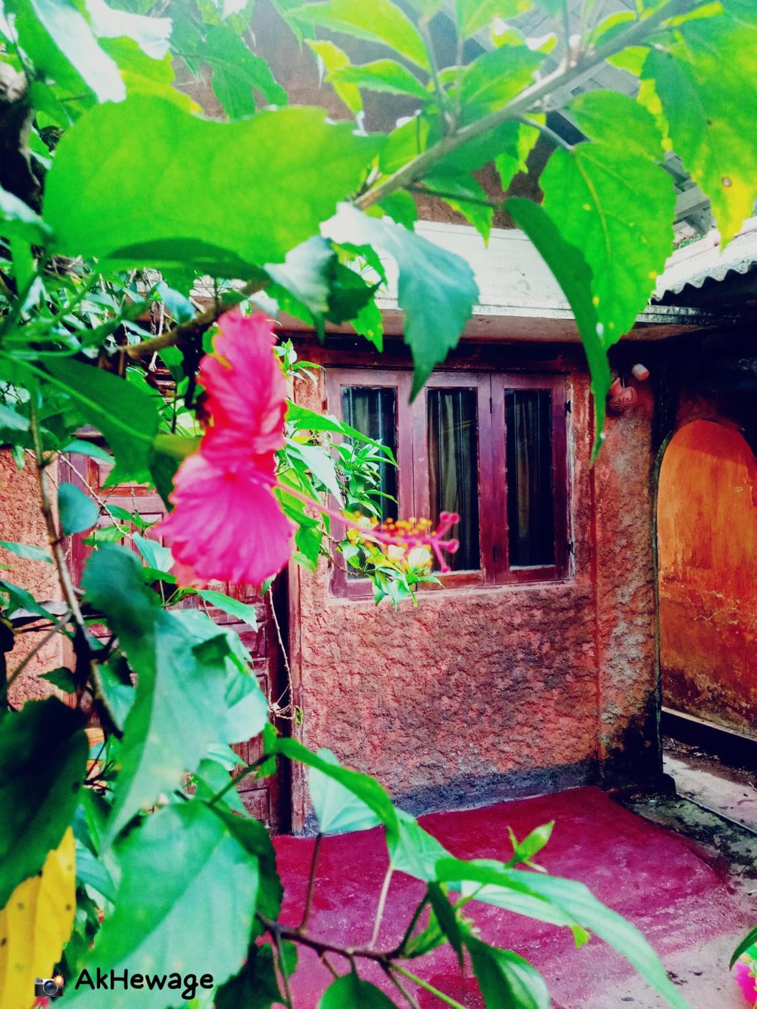 My House Ahangama Room photo